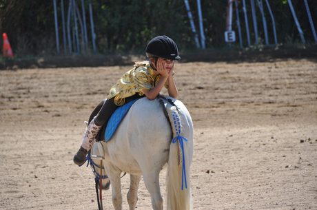 horse-1808727_1280.jpg