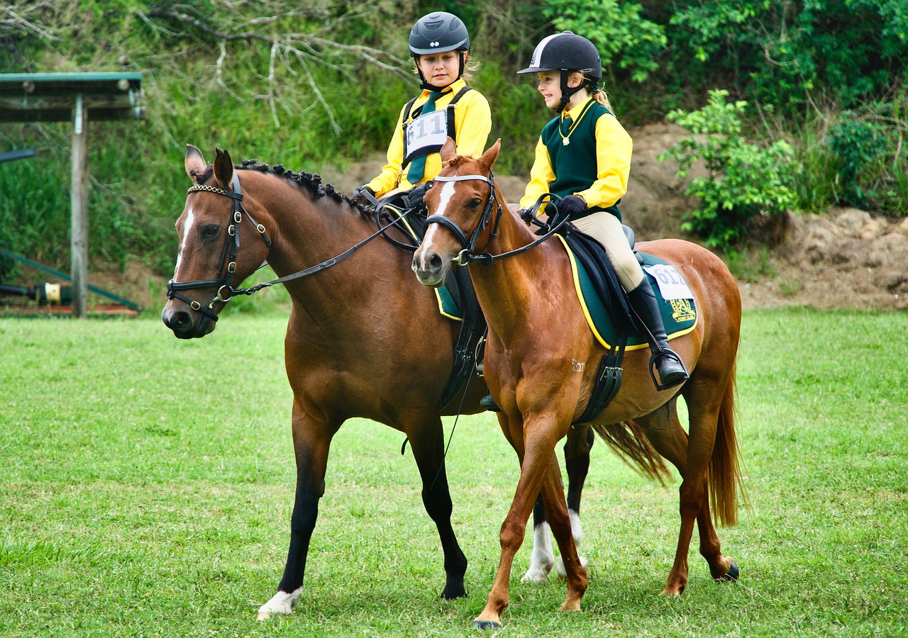 Horseback Riding Helmets