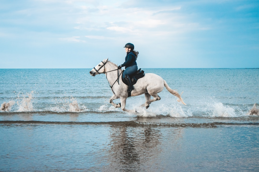 horse riding helmets