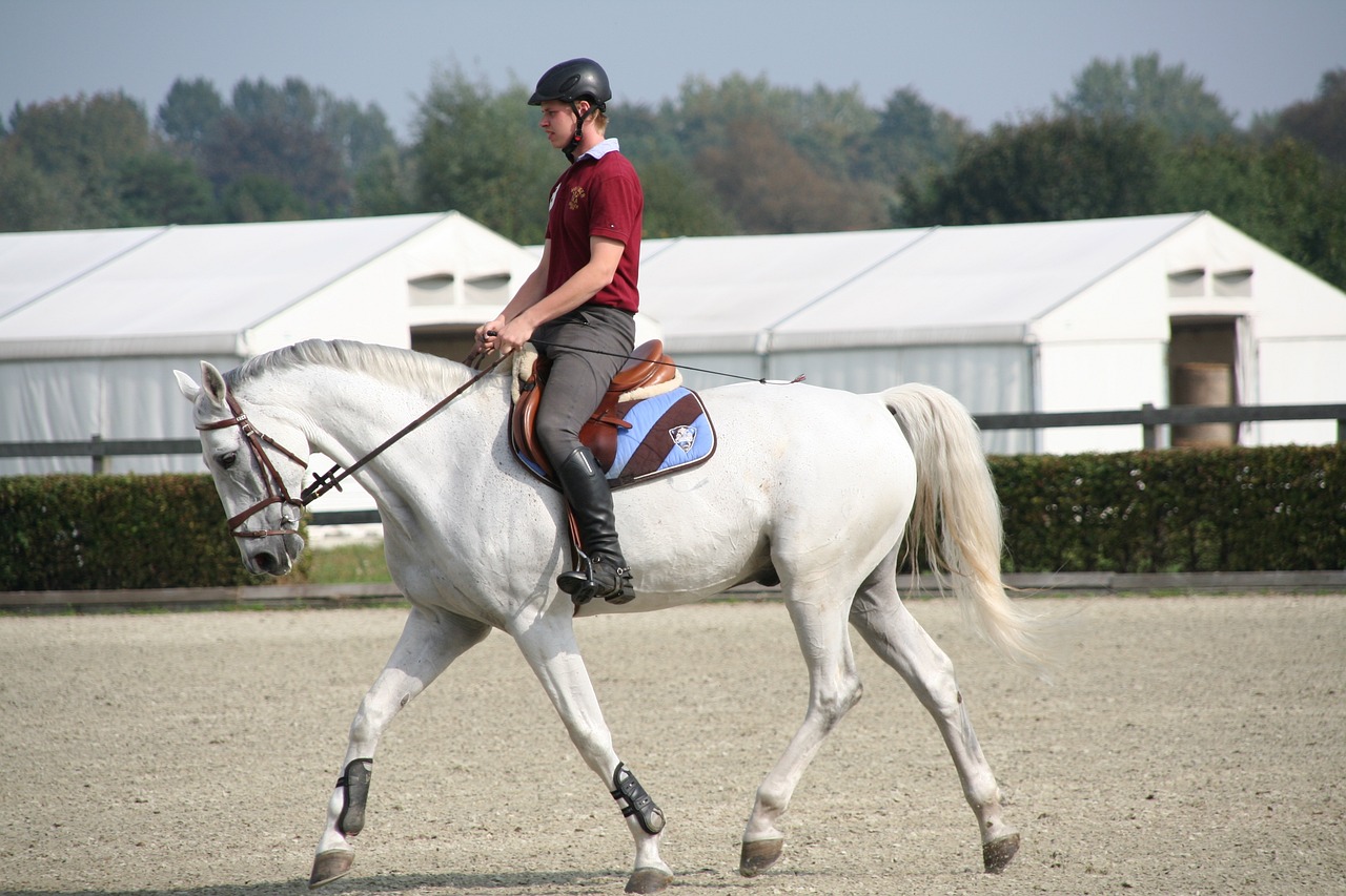 equestrian helmet