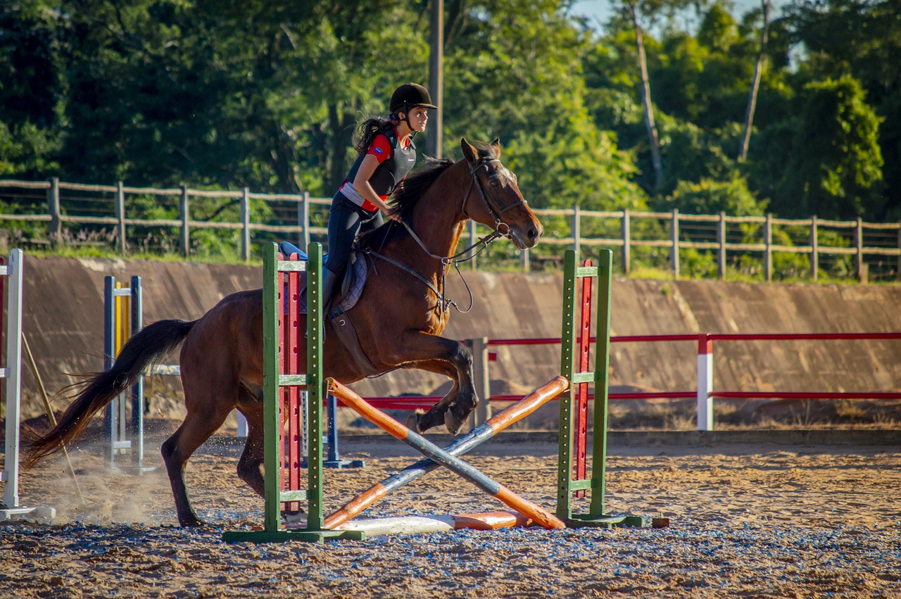 Reliable Protection for Every Horseback Rider