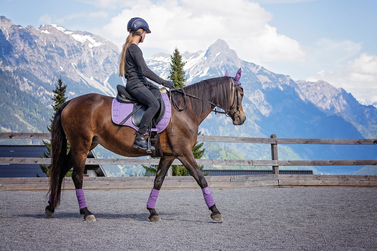 horse riding helmets for women