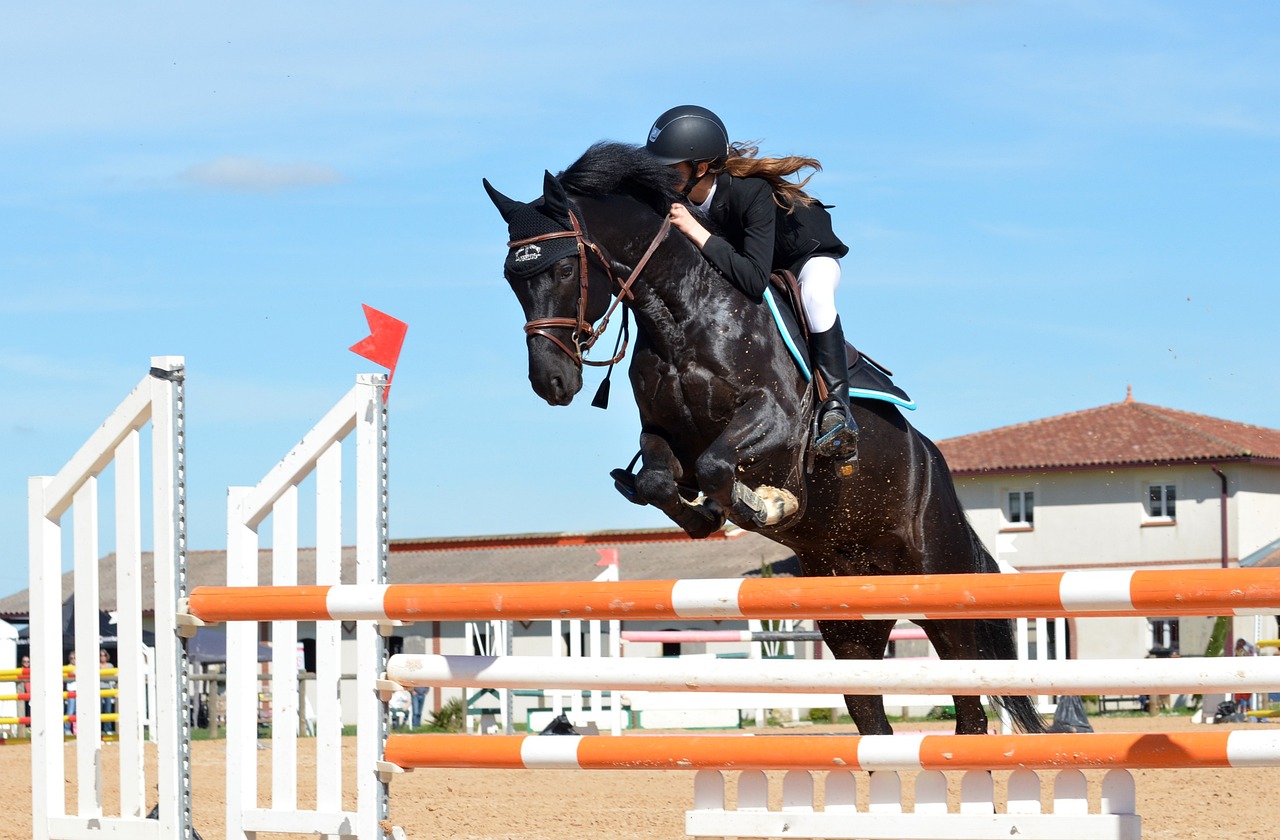 womens horse riding helmets