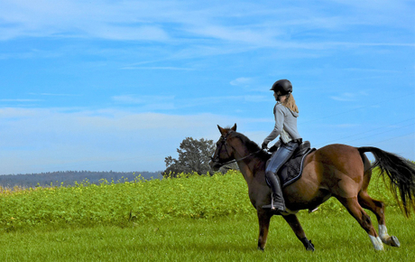 horse-riding-4564859_1280.jpg