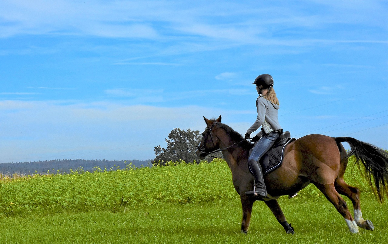 Horse Riding Helmet