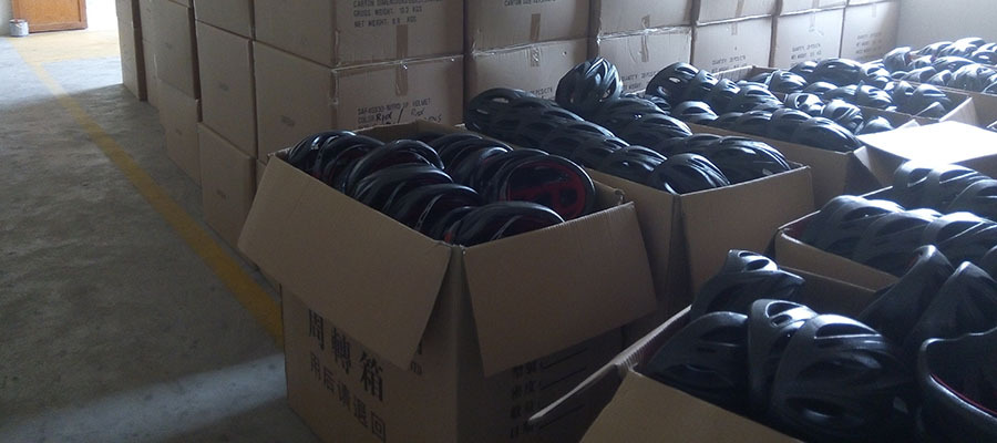 Skate Helmet