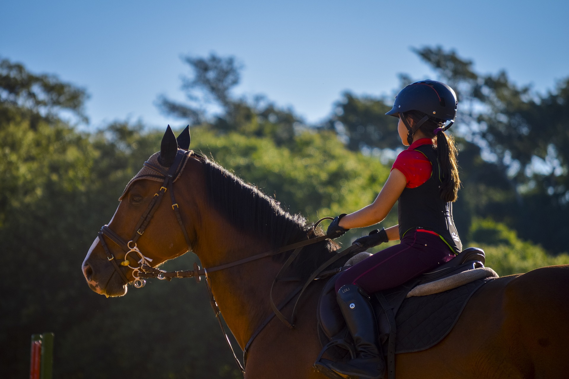 Horse Riding Helmet Safety Standards: What Every Equestrian Should Know